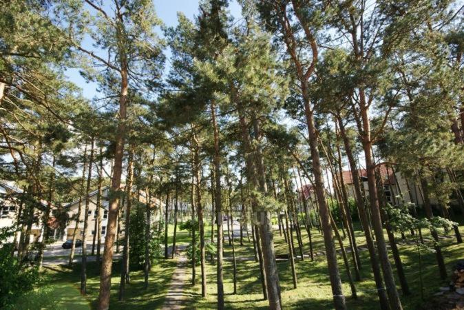 Kotedžas-Irena Apartment Nida Bagian luar foto